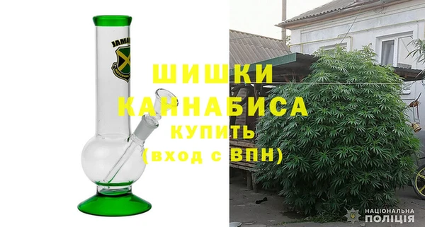 ПСИЛОЦИБИНОВЫЕ ГРИБЫ Абаза