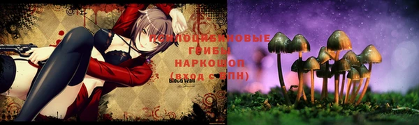 ПСИЛОЦИБИНОВЫЕ ГРИБЫ Абаза