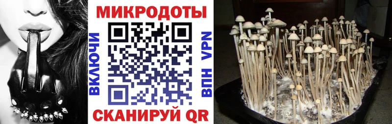 Псилоцибиновые грибы прущие грибы  Райчихинск 